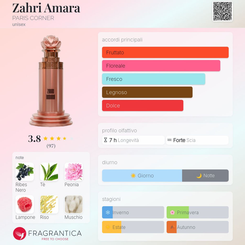Paris Corner Zahri Amara