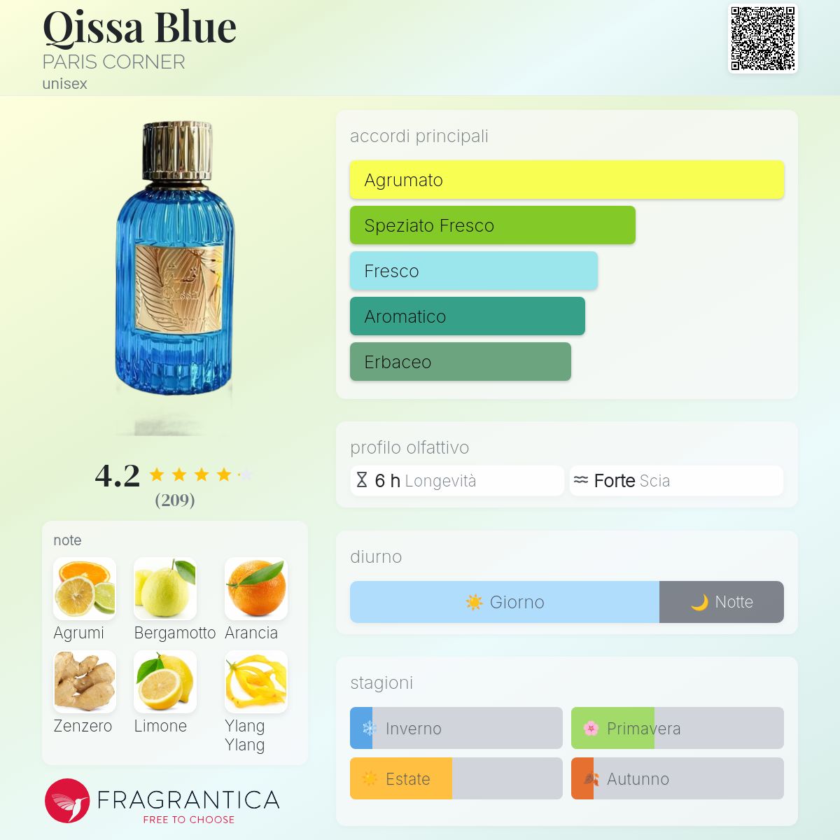 Paris Corner Qissa Blue
