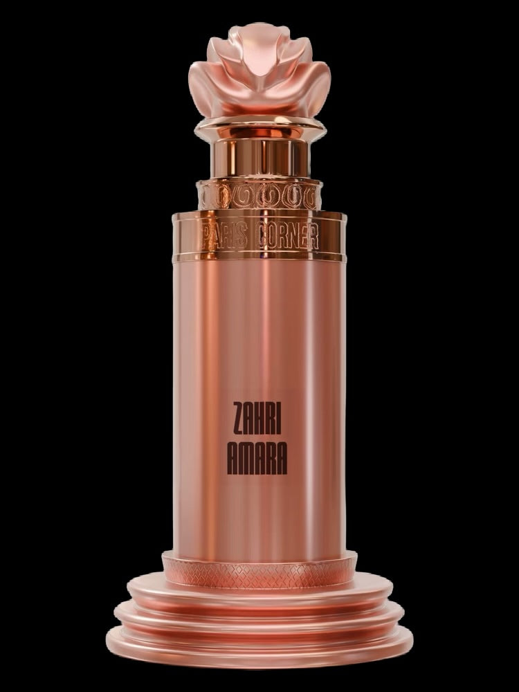 Paris Corner Zahri Amara